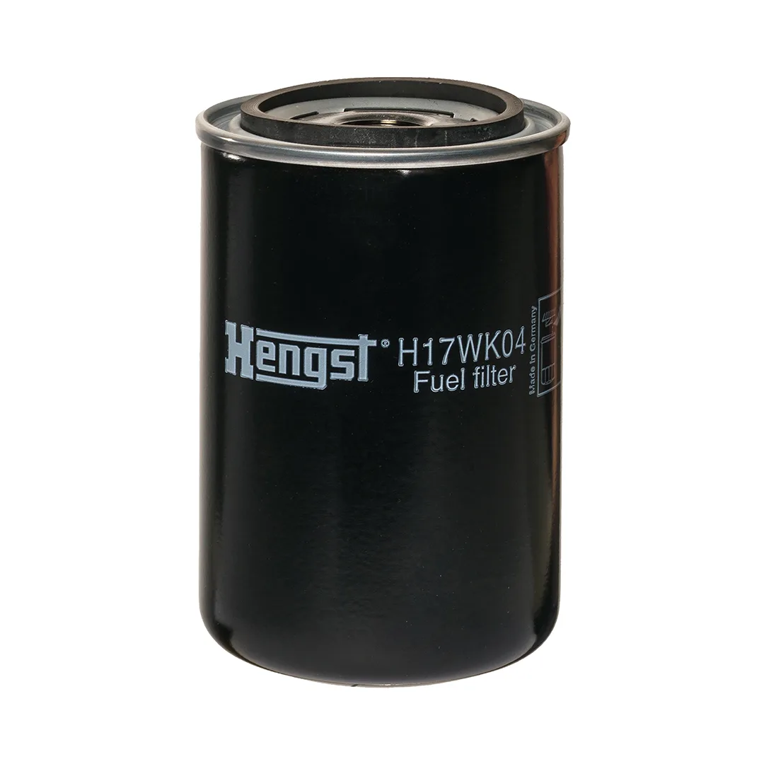 H17WK04 Hengst