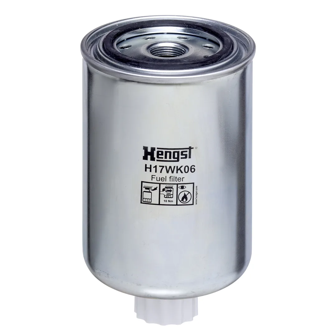 H17WK06 Hengst