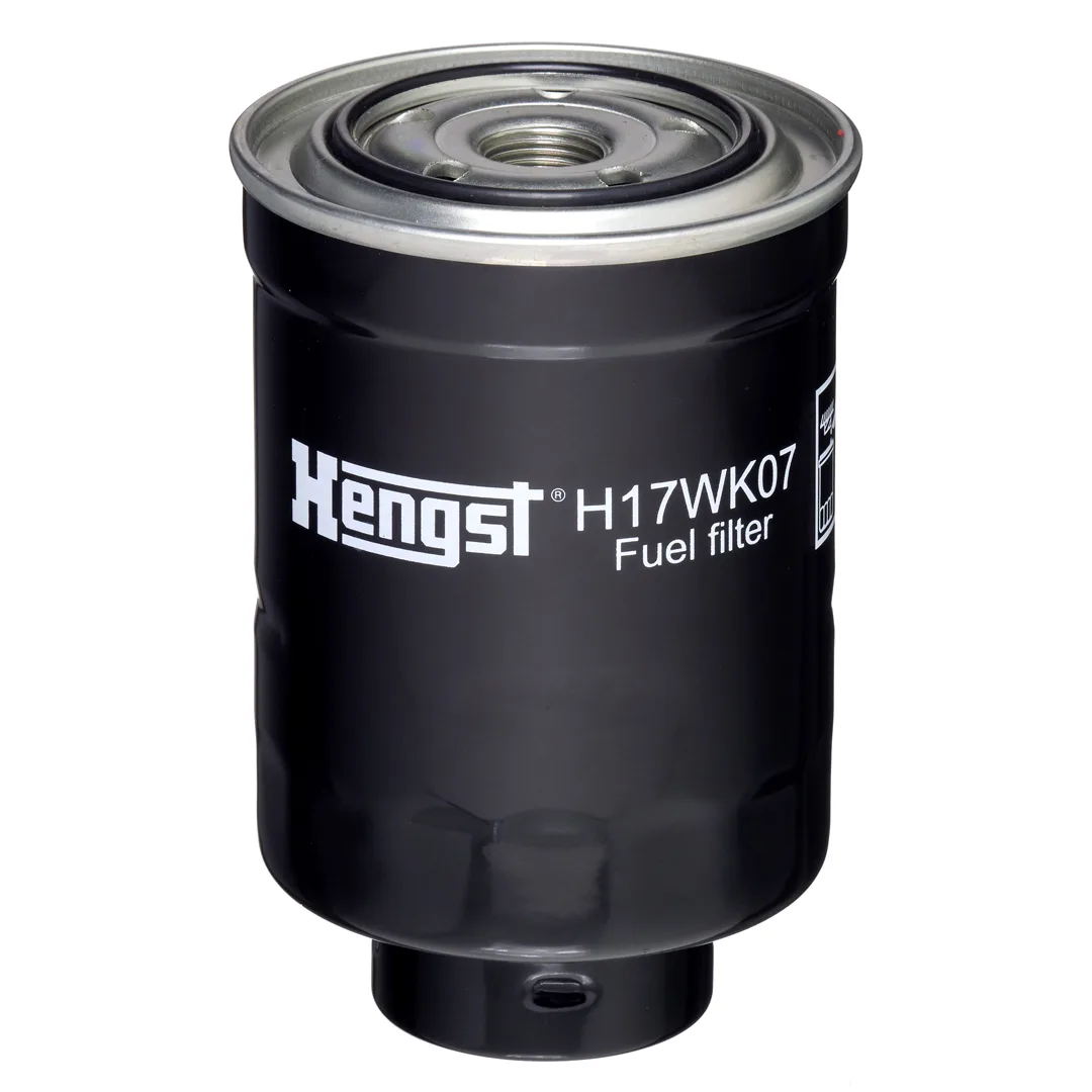 H17WK07 Hengst