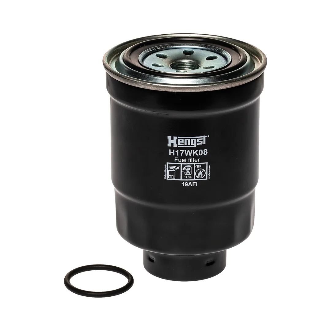 H17WK08 Hengst