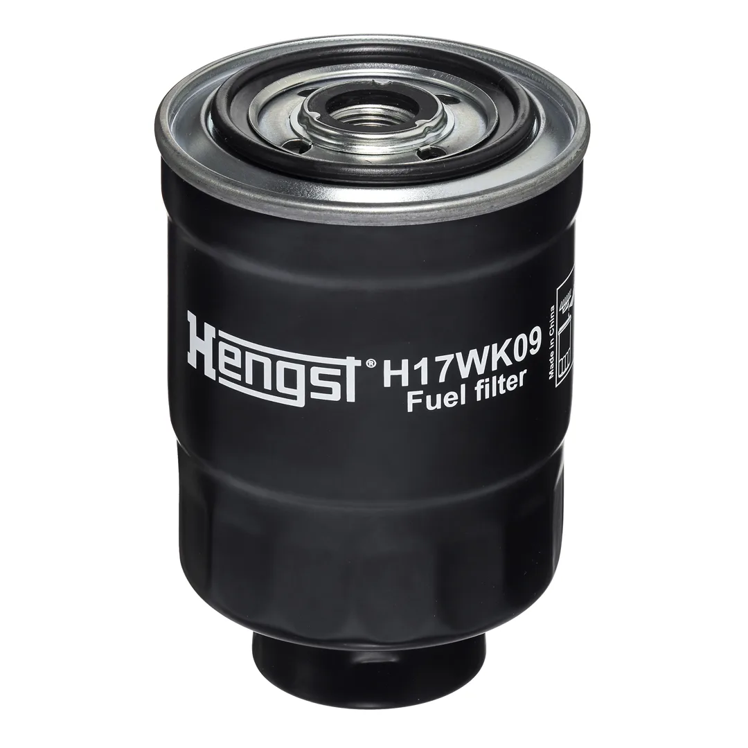 H17WK09 Hengst
