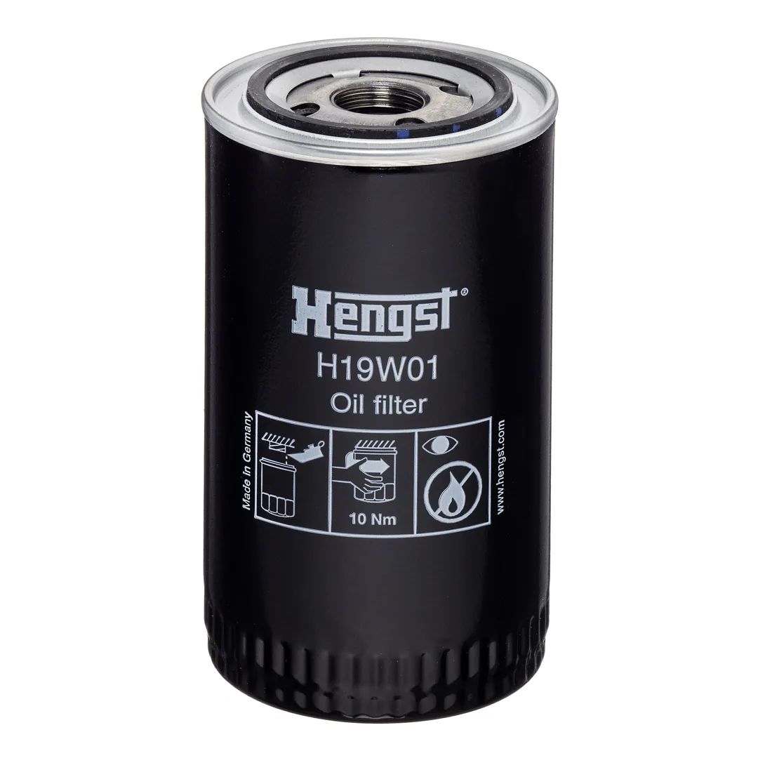 H19W01 Hengst