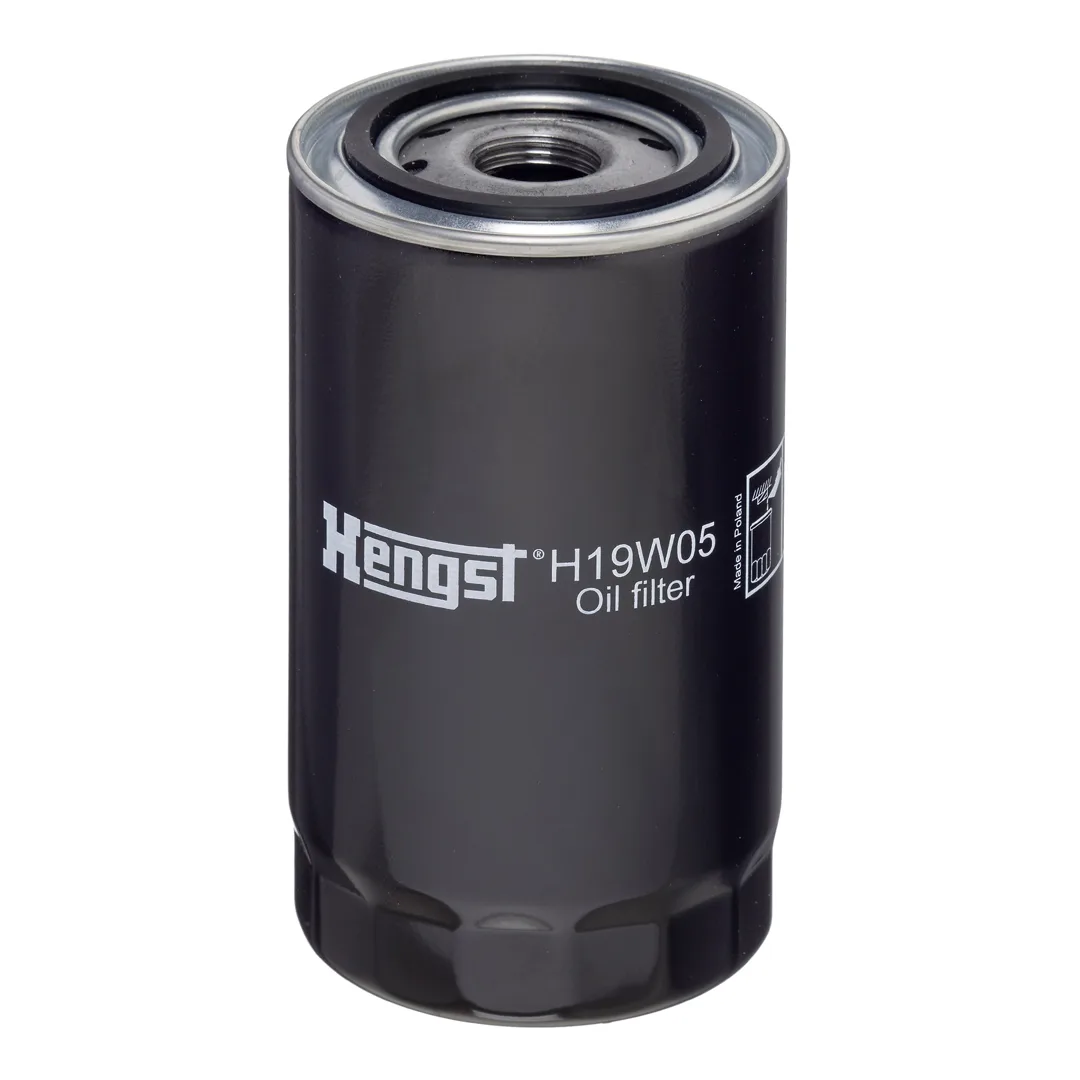 H19W05 Hengst