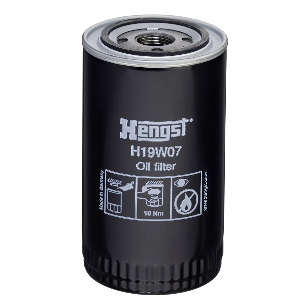 H19W07 Hengst
