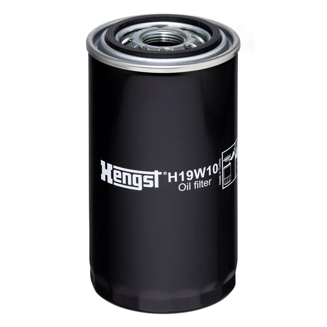 H19W10 Hengst