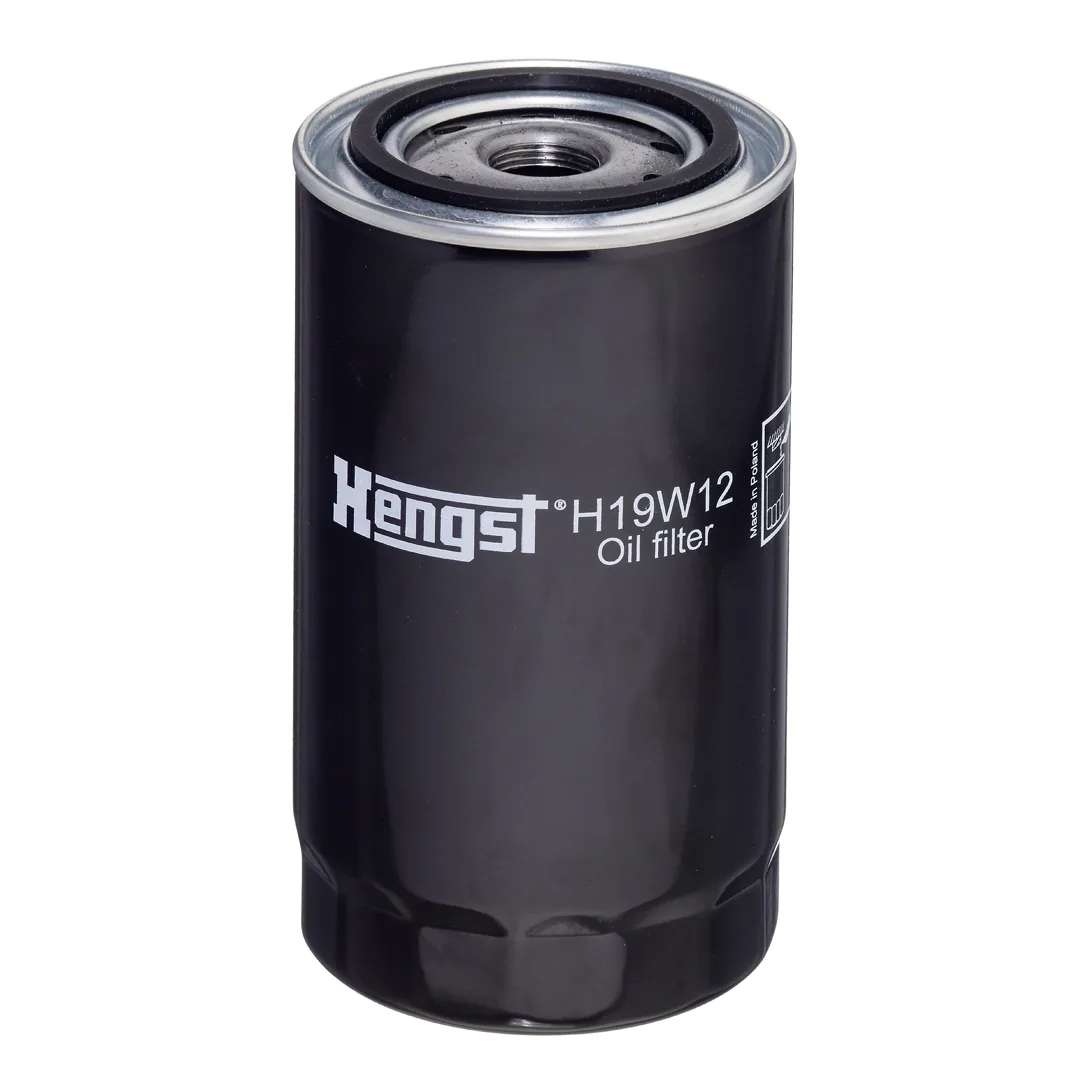 H19W12 Hengst