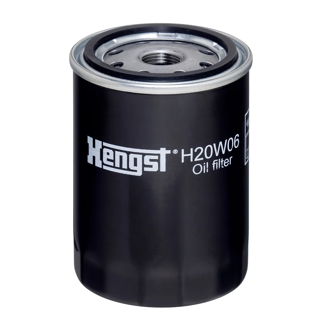 H20W06 Hengst