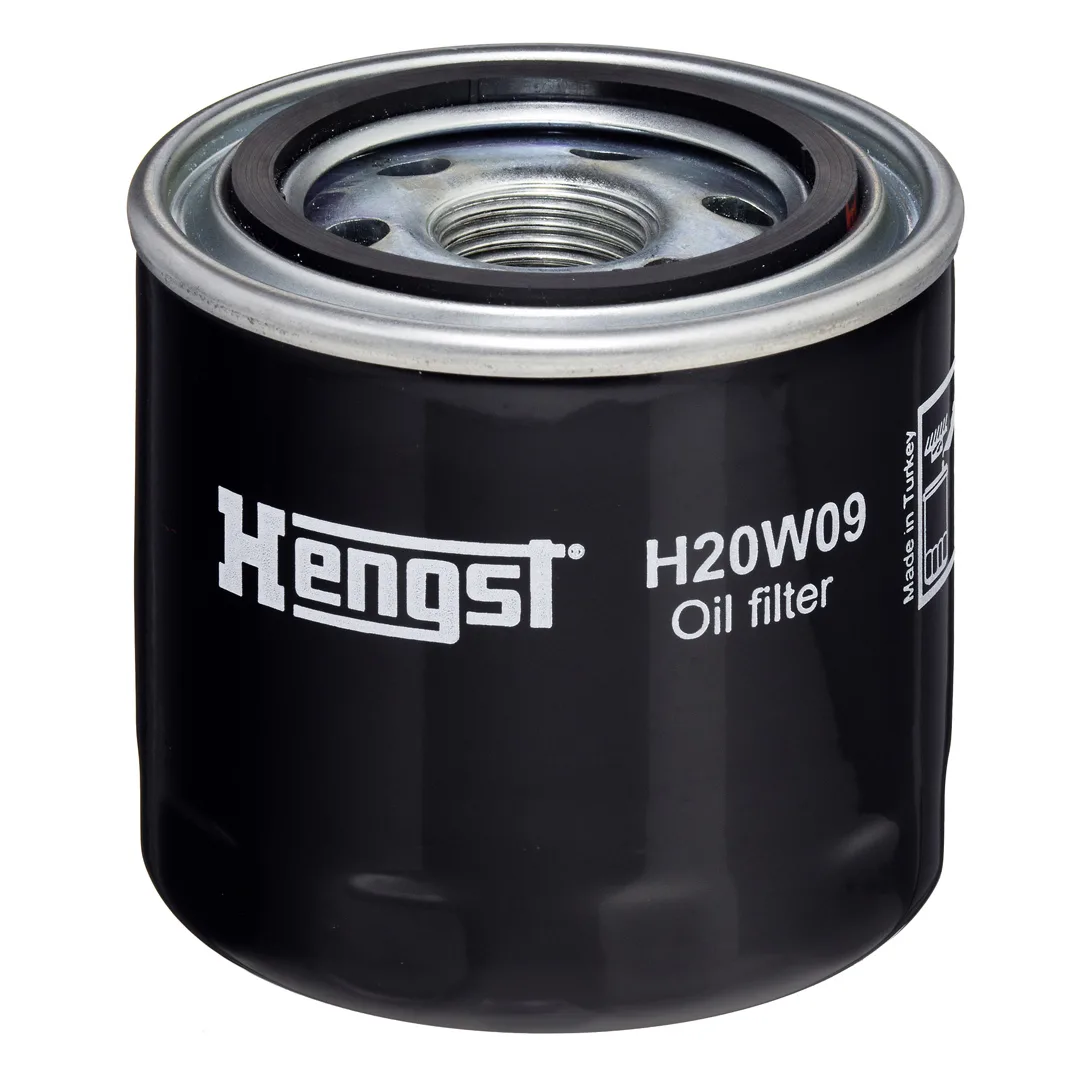 H20W09 Hengst