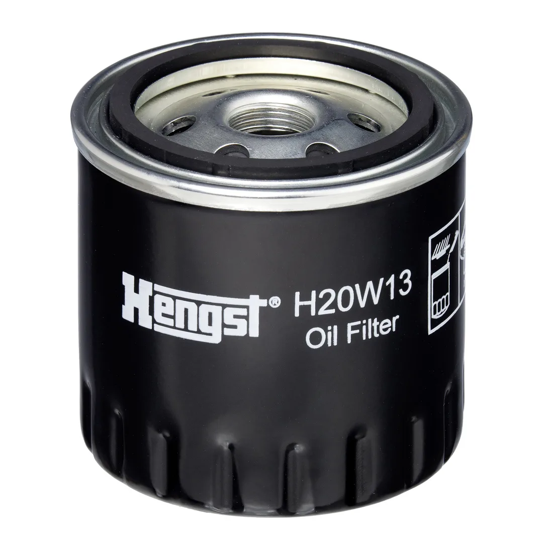 H20W13 Hengst