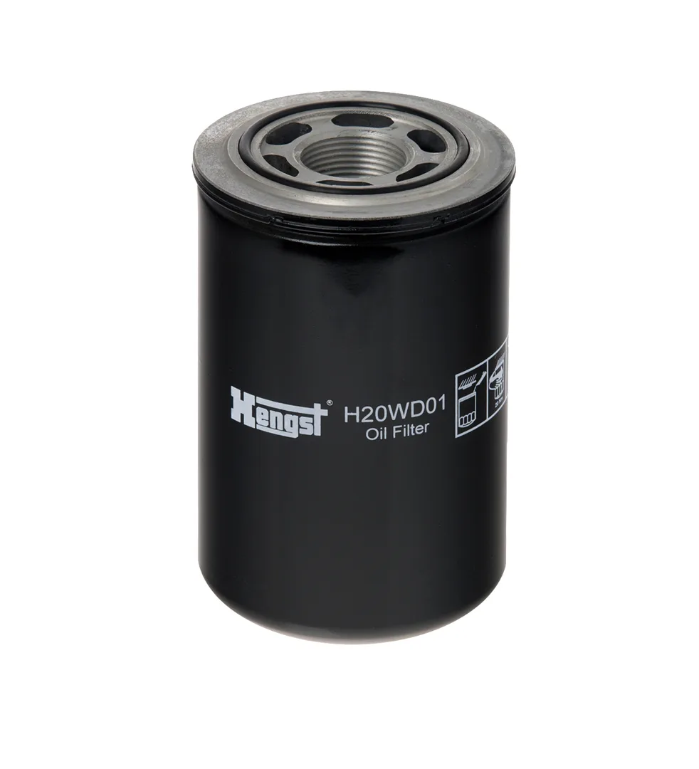 H20WD01 Hengst