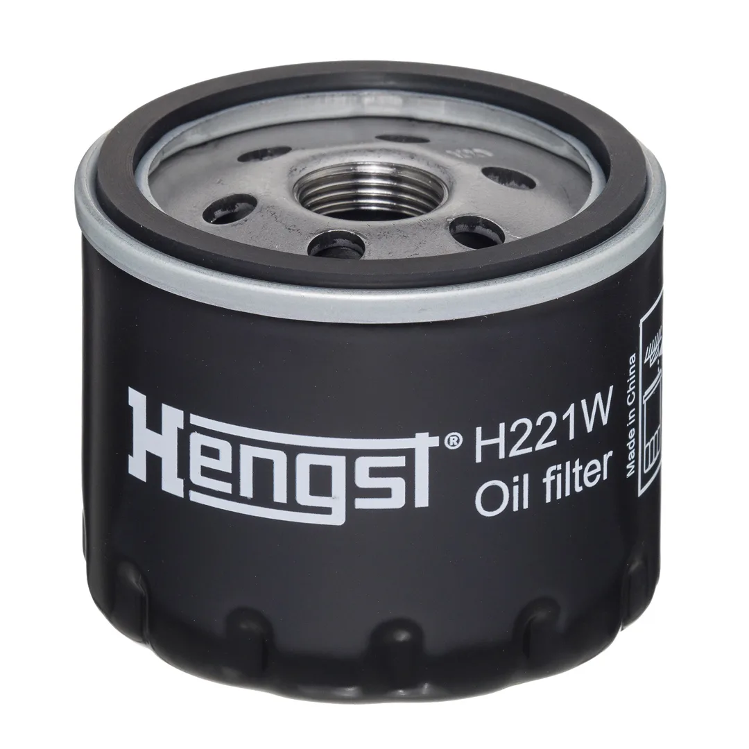 H221W Hengst