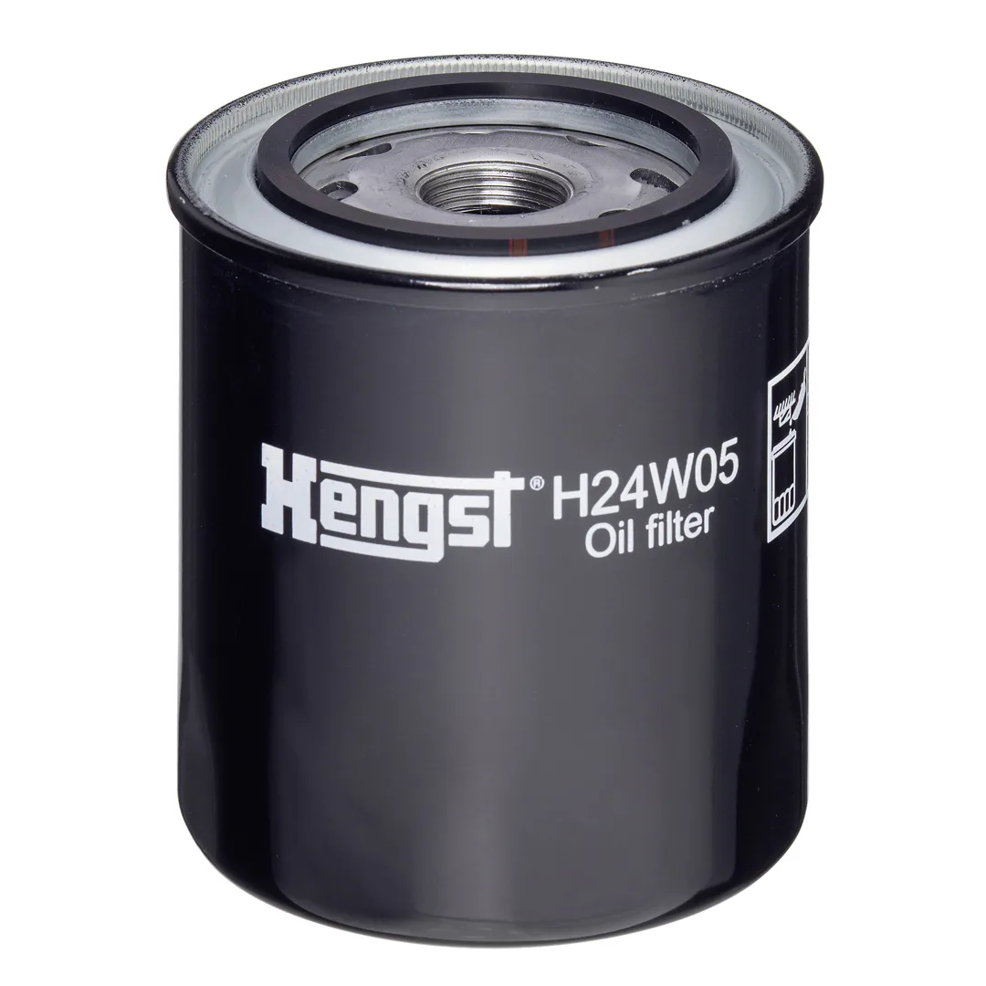 H24W05 Hengst