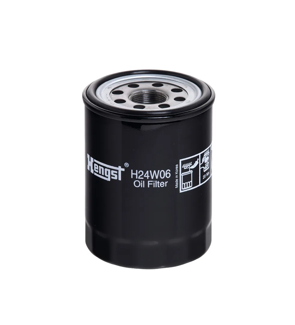 H24W06 Hengst