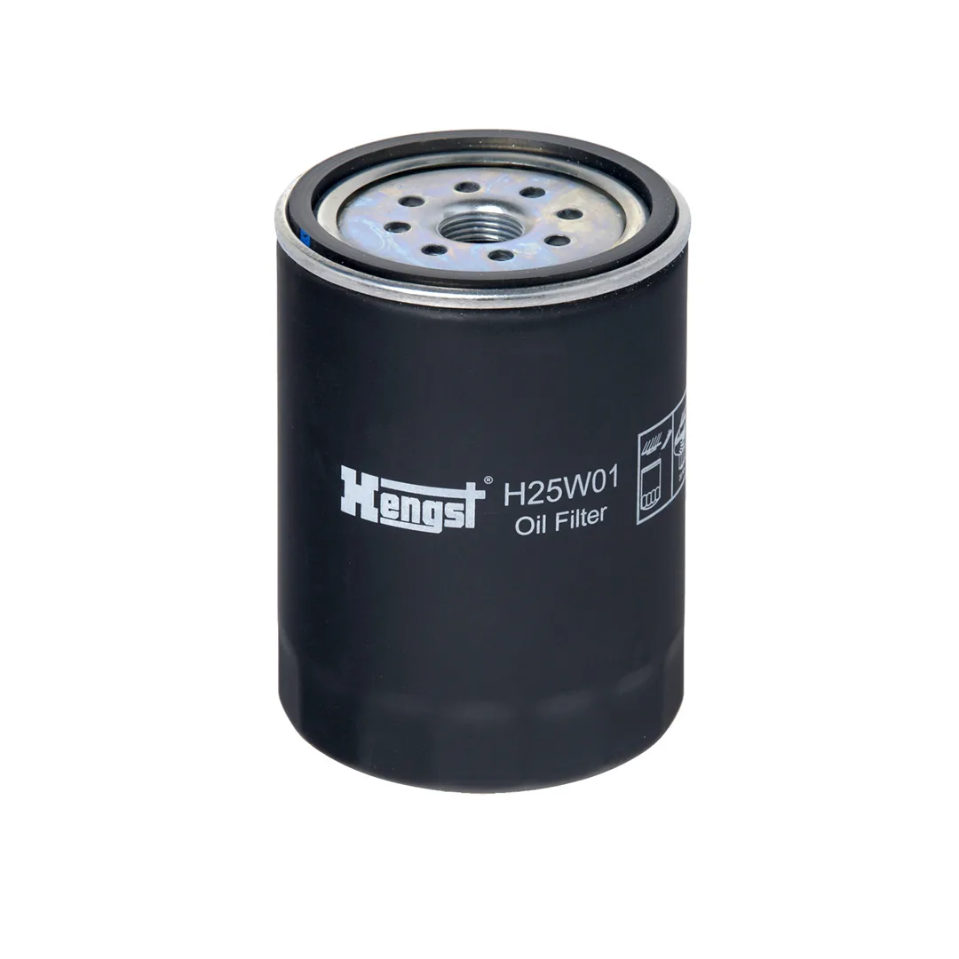 H25W01 Hengst