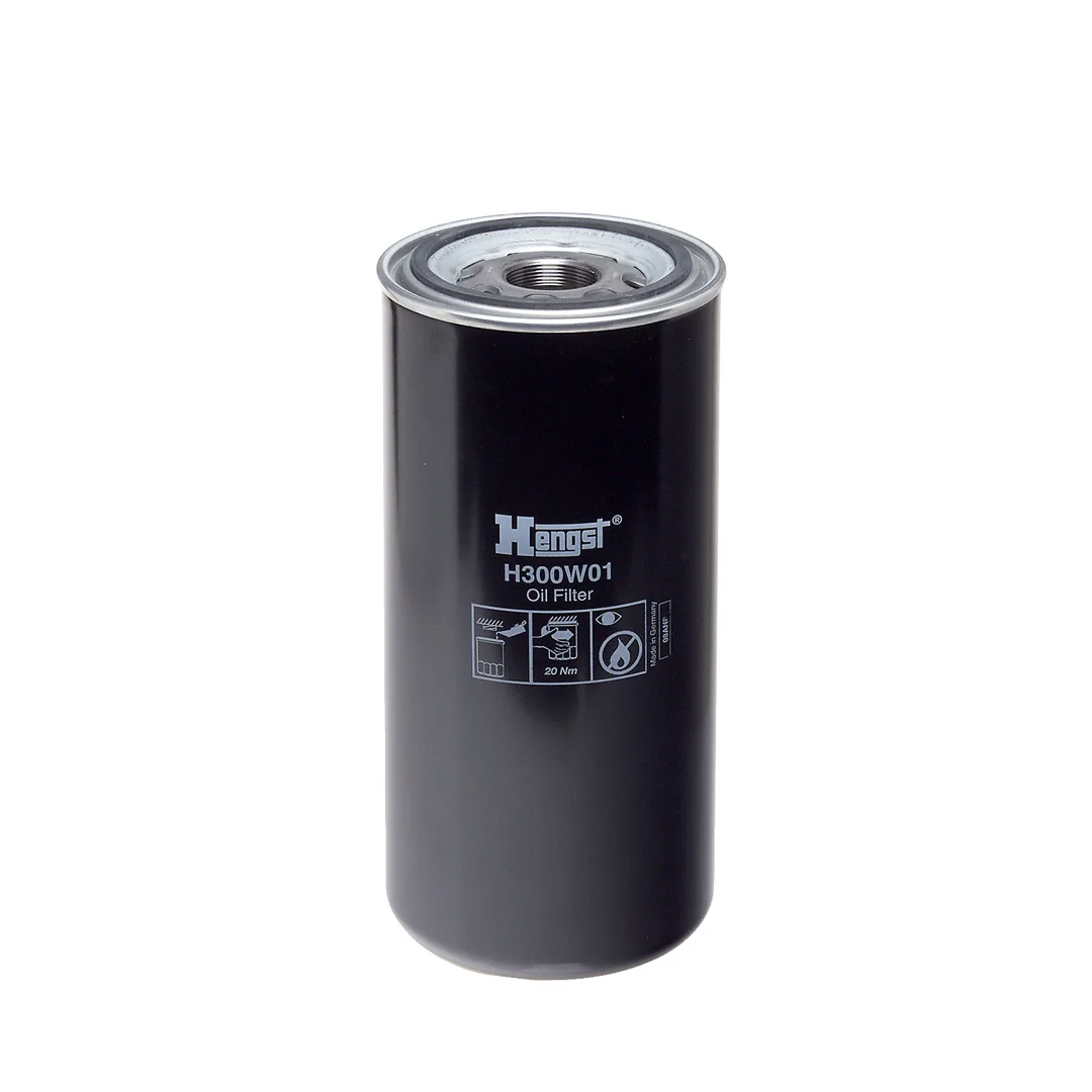 H300W01 Hengst
