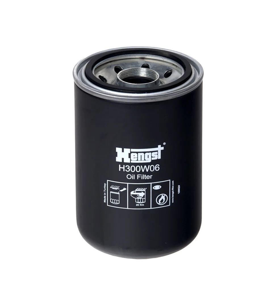 H300W06 Hengst