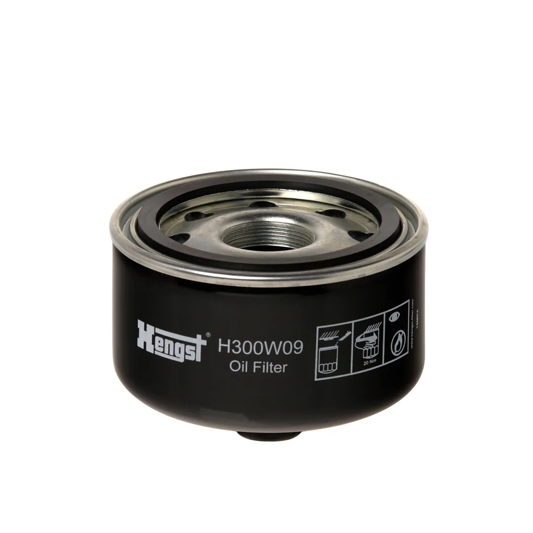 H300W09 Hengst