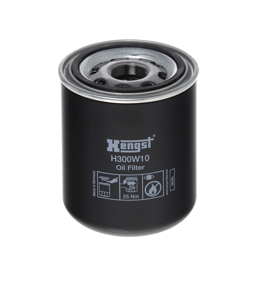 H300W10 Hengst