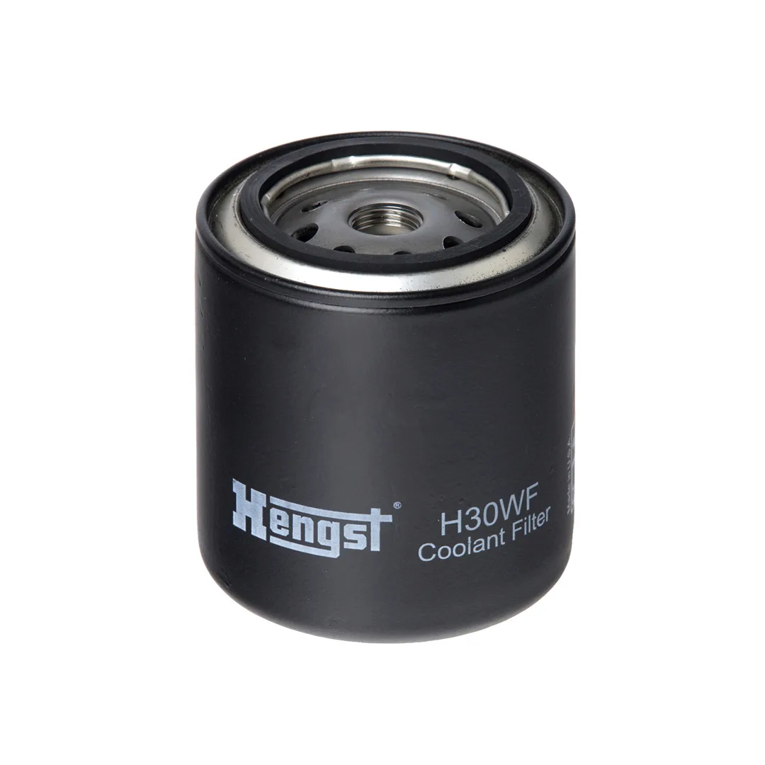 H30WF Hengst