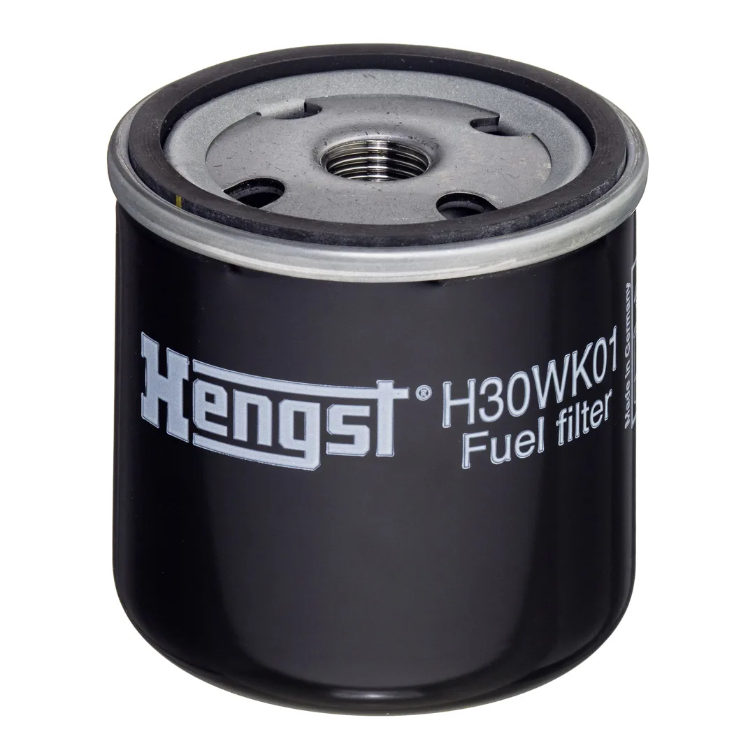 H30WK01 Hengst