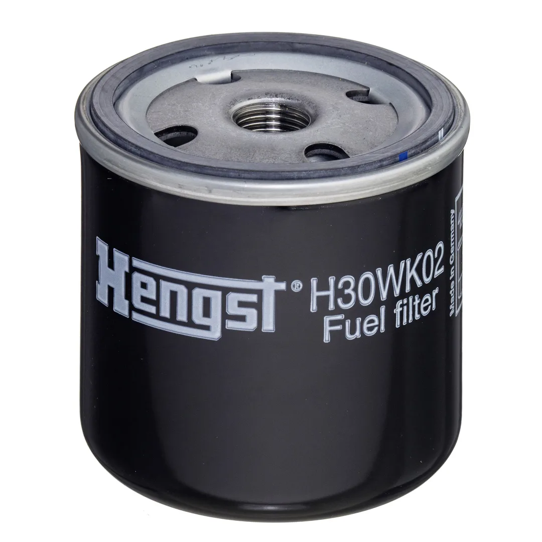 H30WK02 Hengst