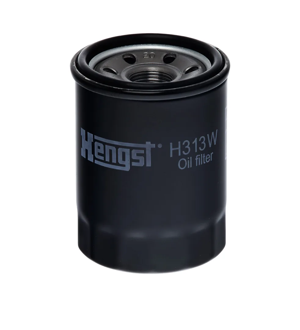 H313W Hengst