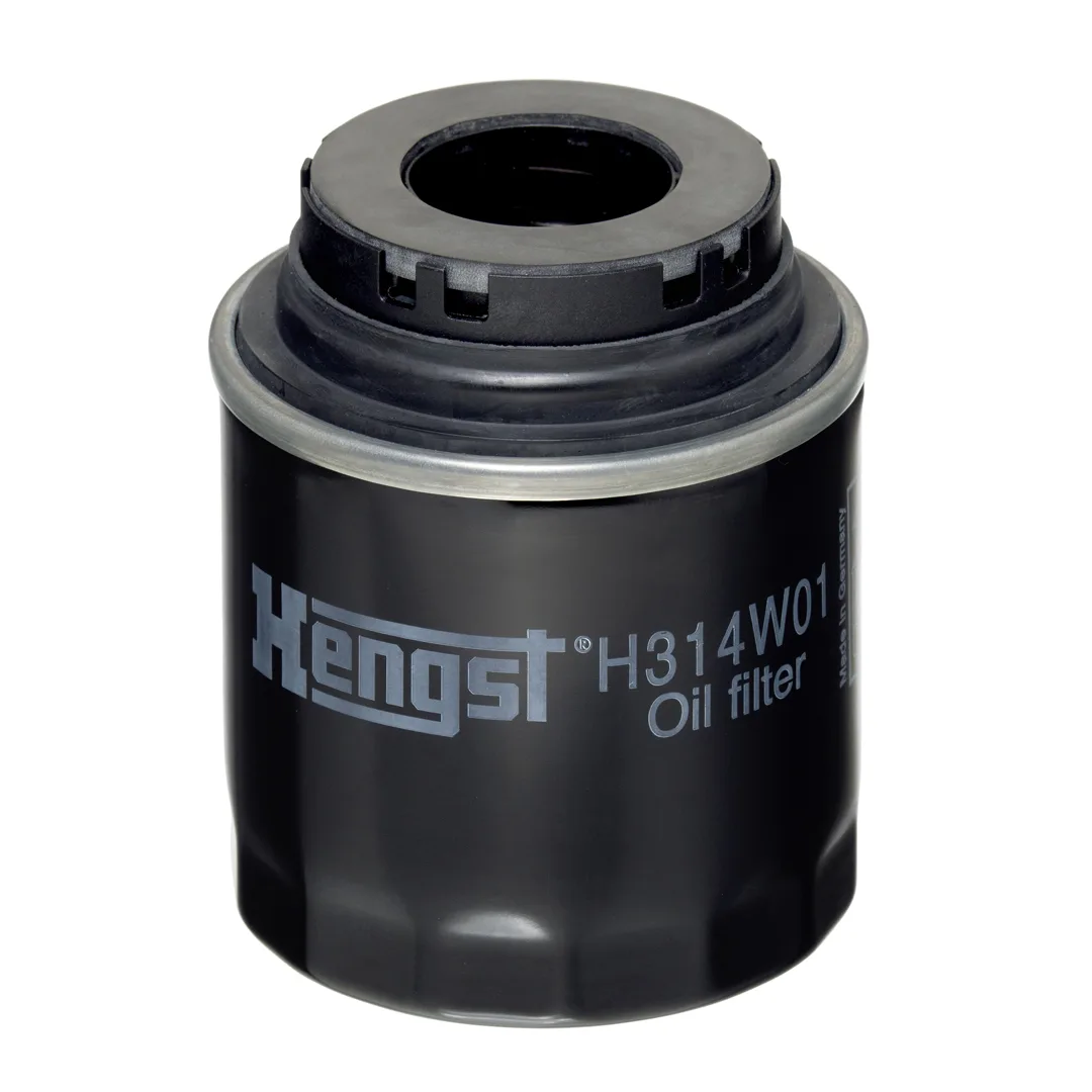 H314W01 Hengst
