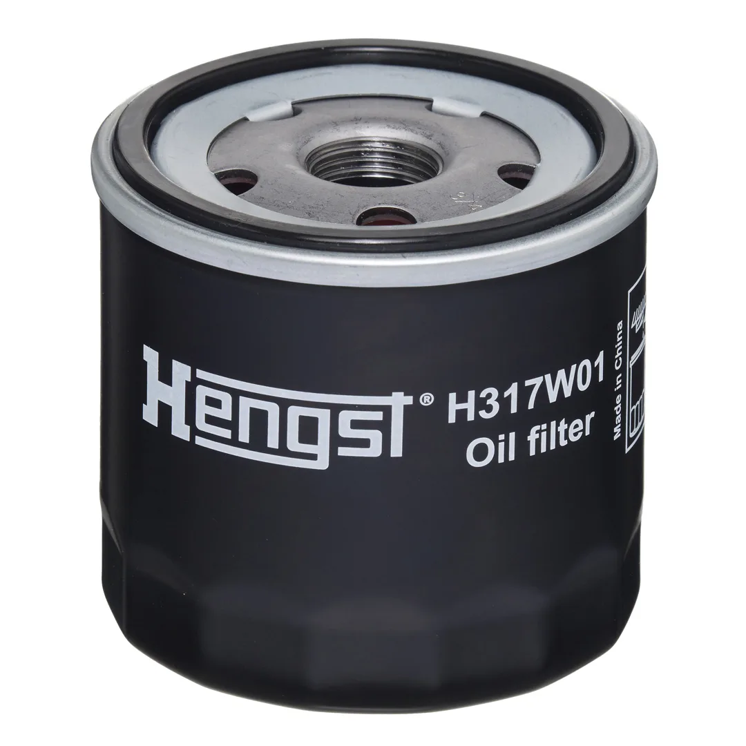 H317W01 Hengst