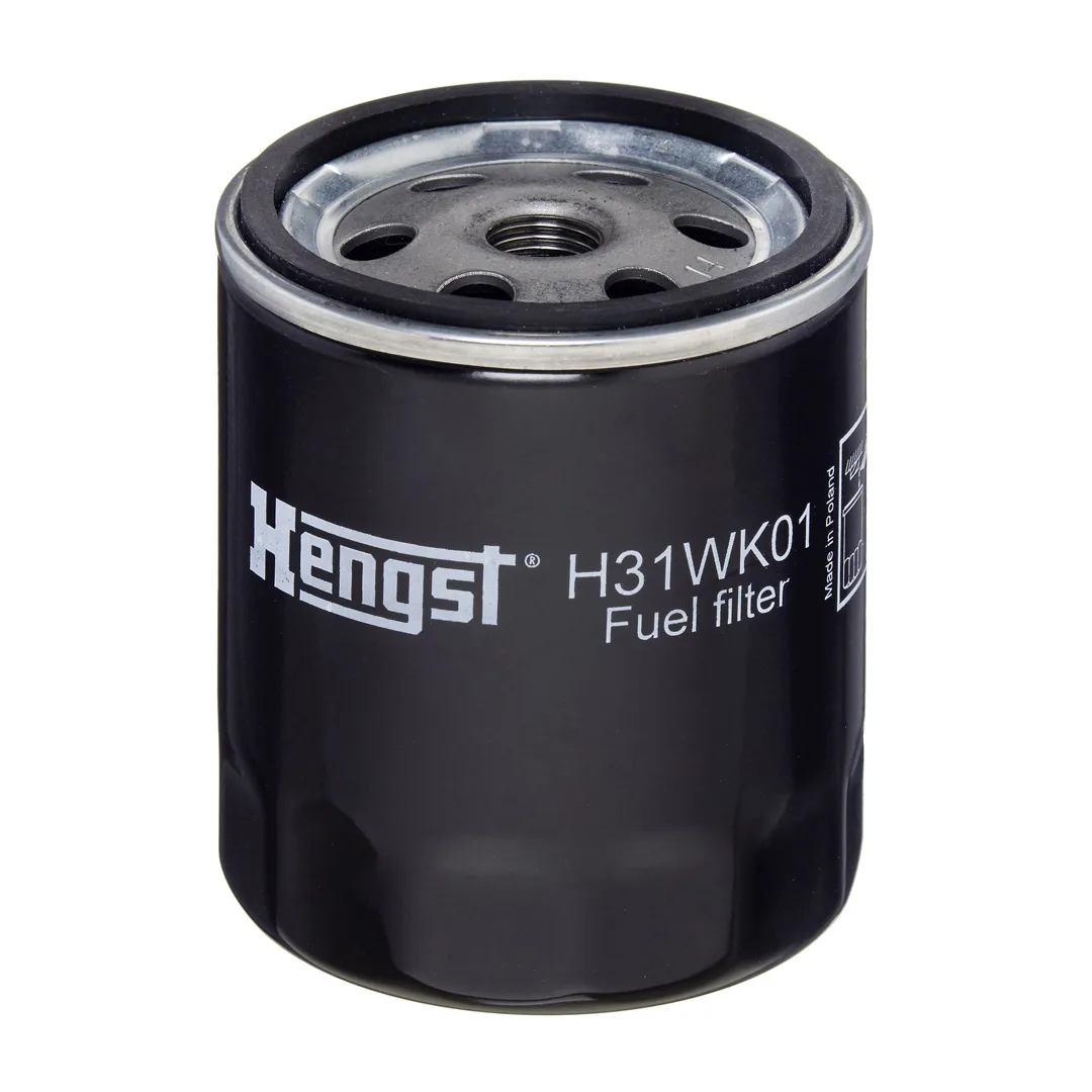 H31WK01 Hengst