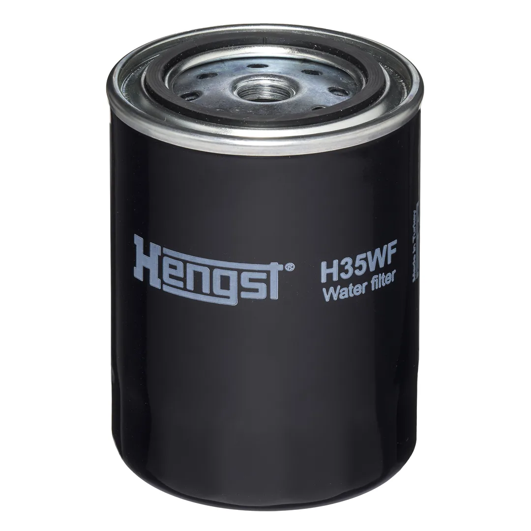 H35WF Hengst