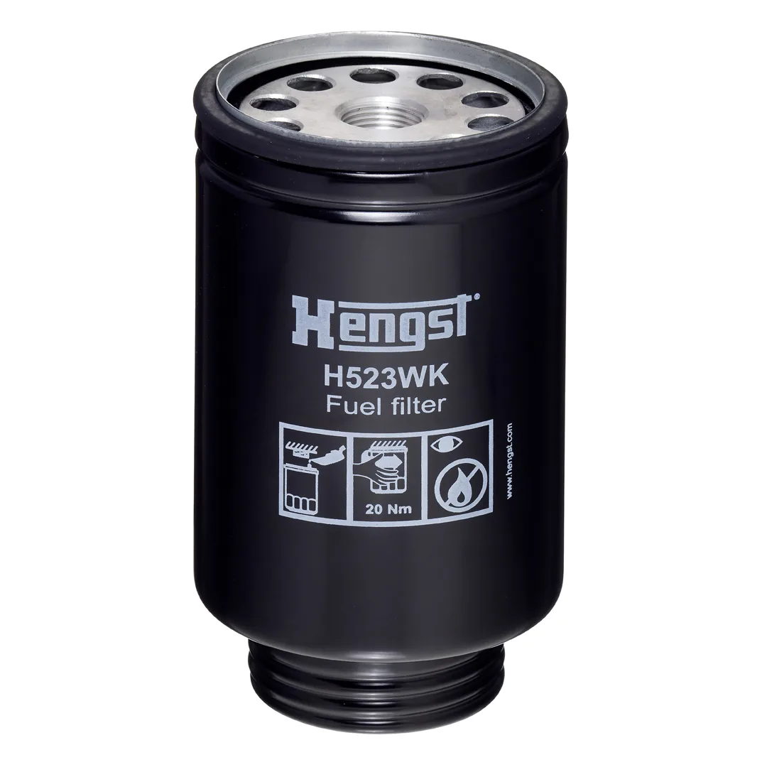 H523WKD539 Hengst