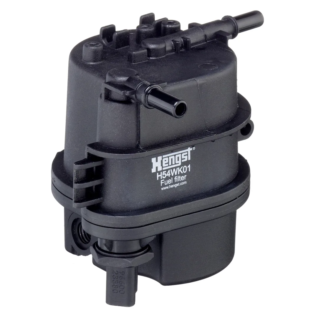 H54WK01 Hengst