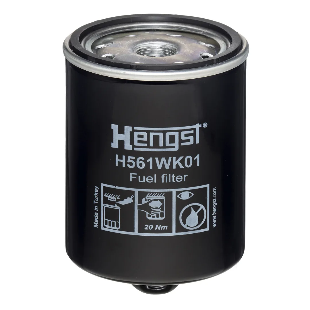 H561WK01 Hengst