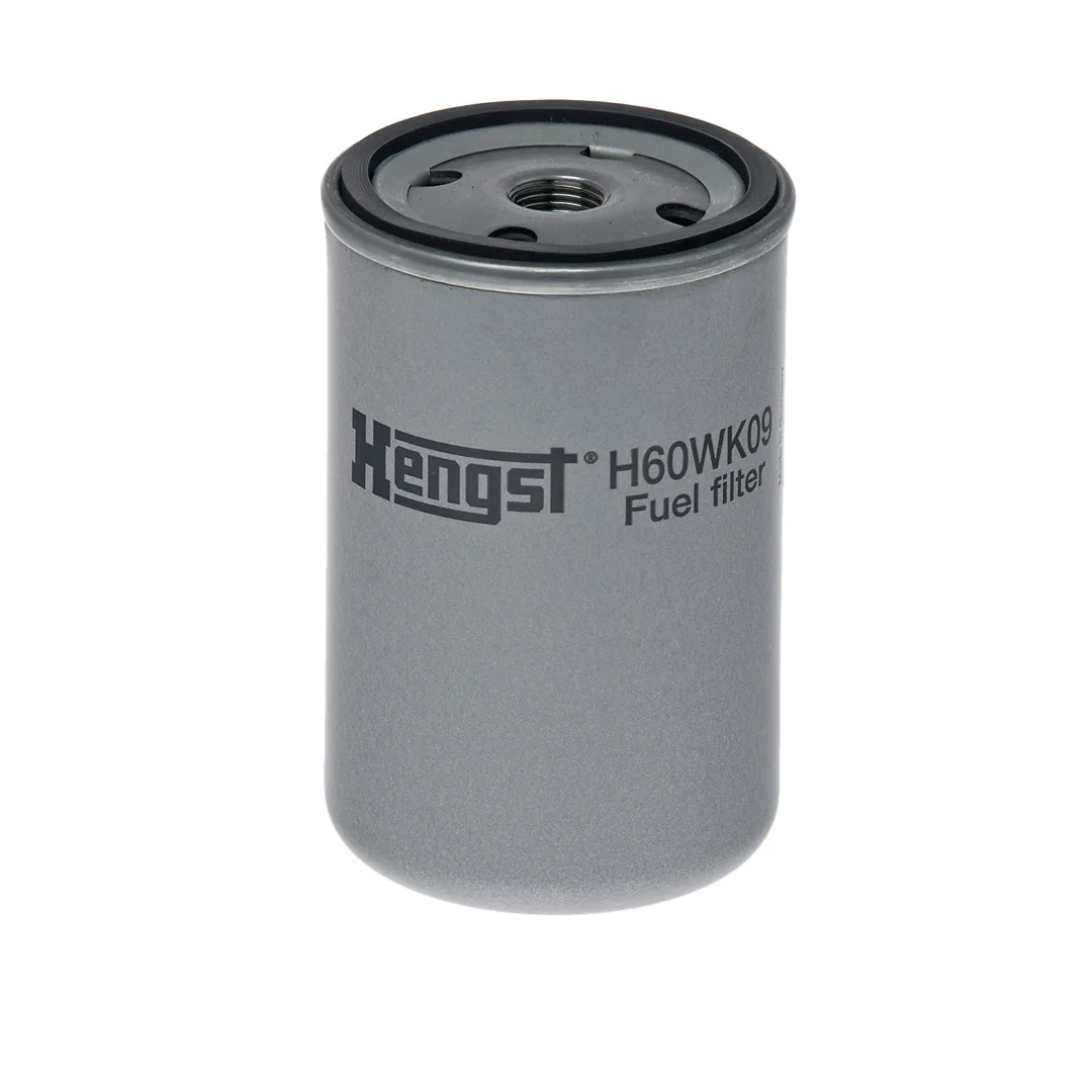 H60WK09 Hengst