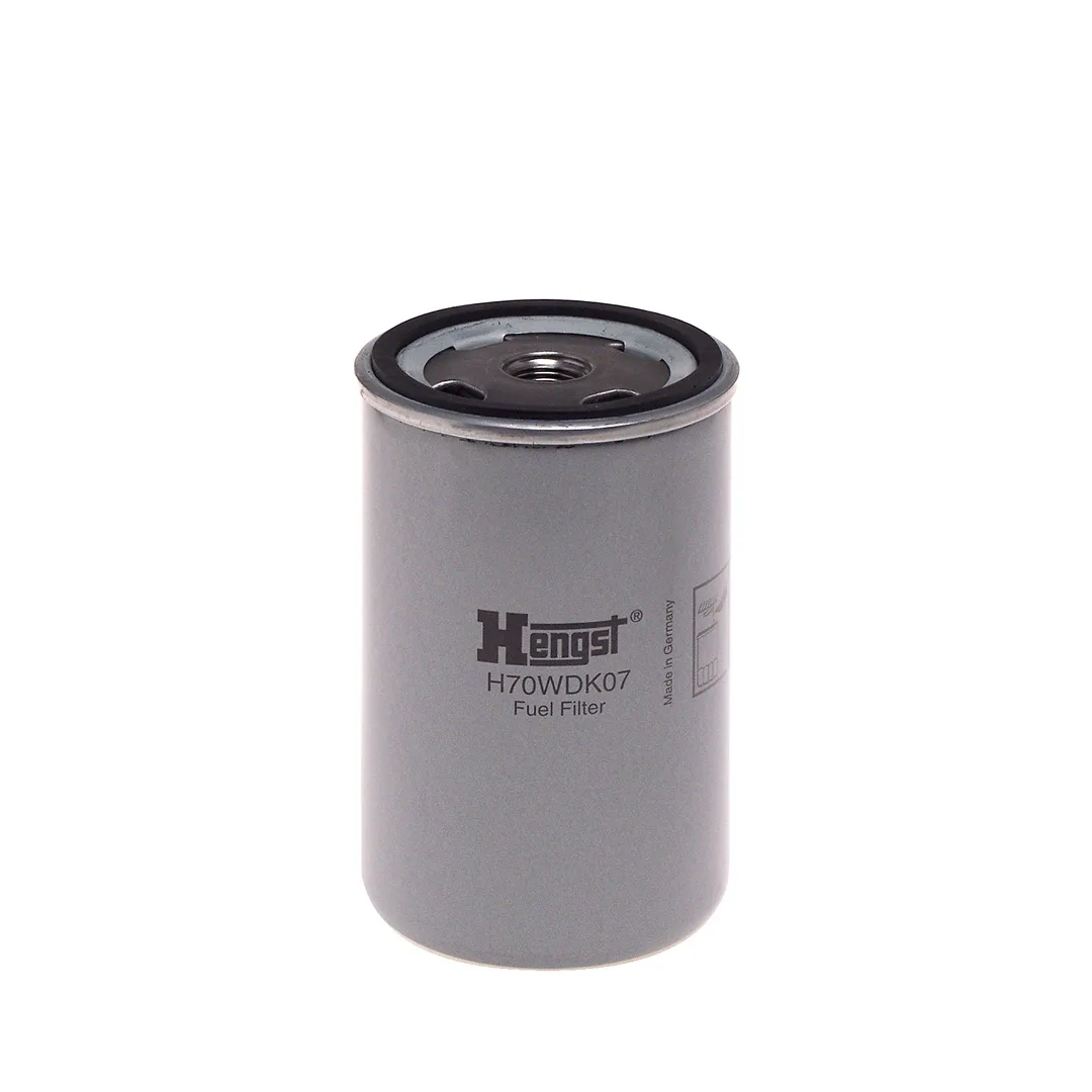 H70WDK07 Hengst