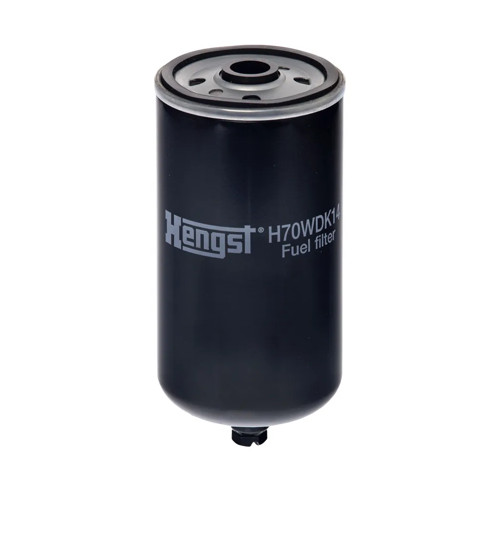 H70WDK14 Hengst