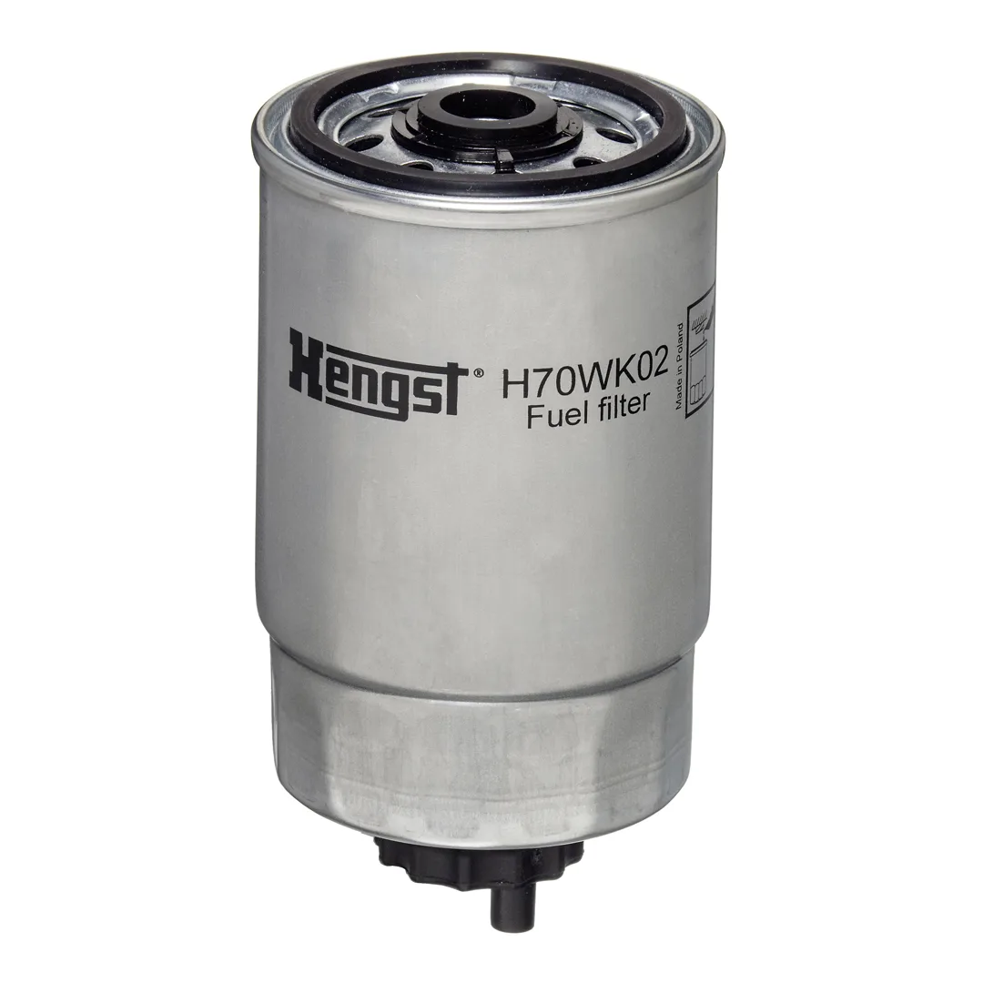 H70WK02 Hengst
