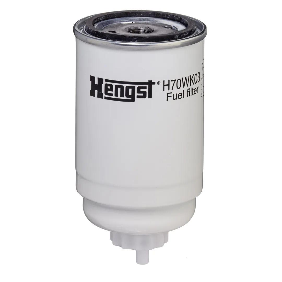 H70WK03 Hengst