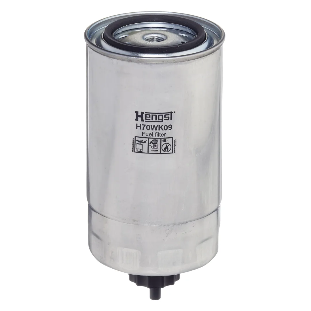 H70WK09 Hengst