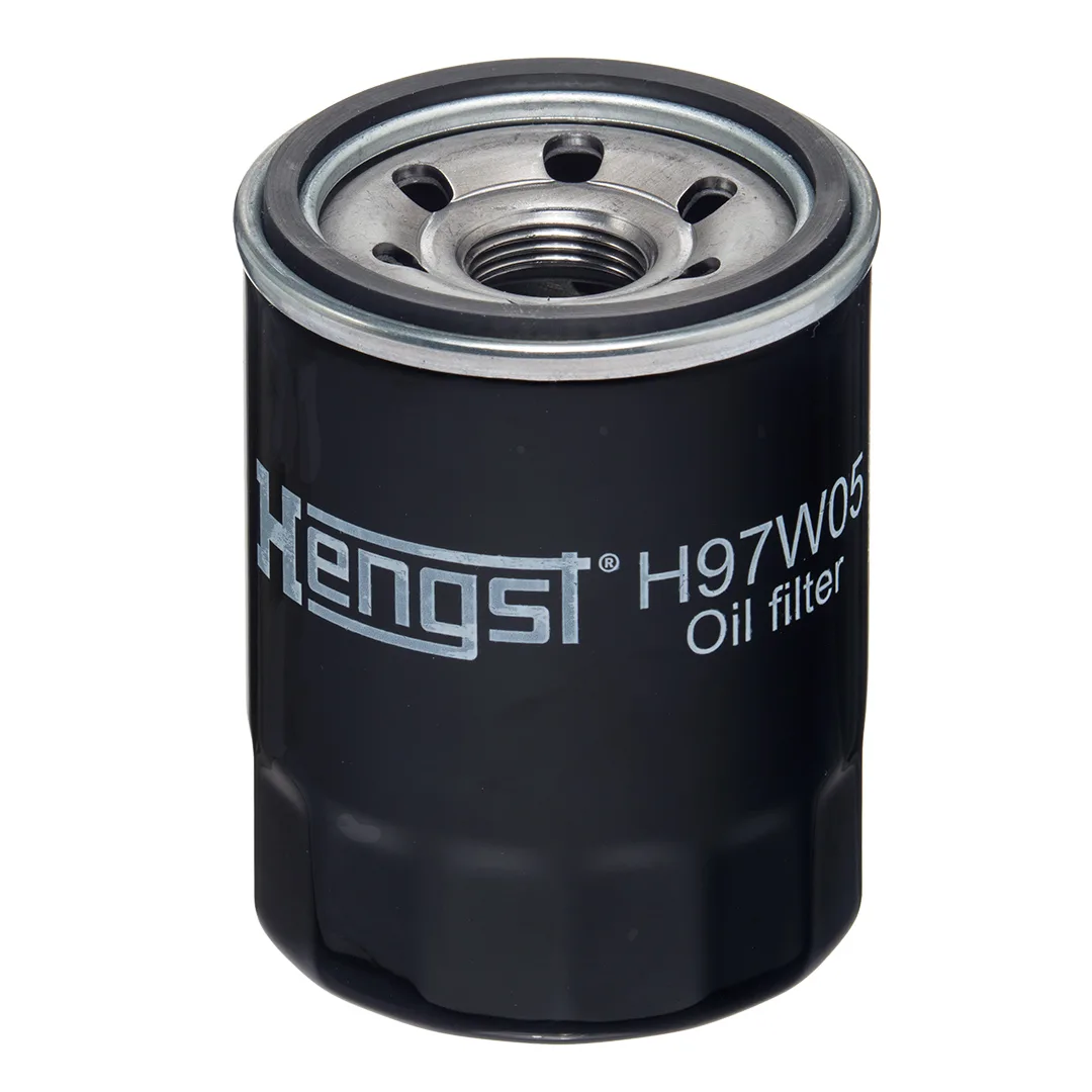 H97W05 Hengst