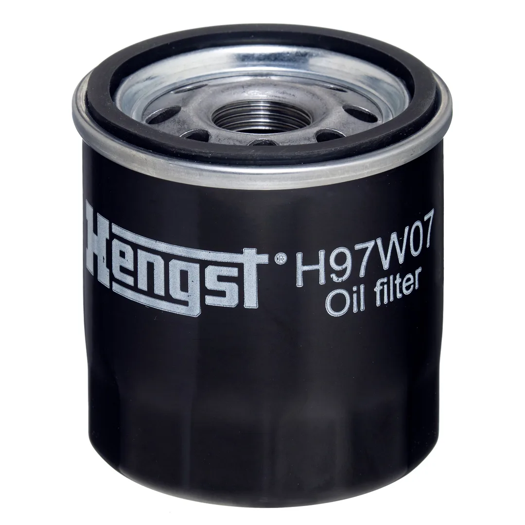 H97W07 Hengst