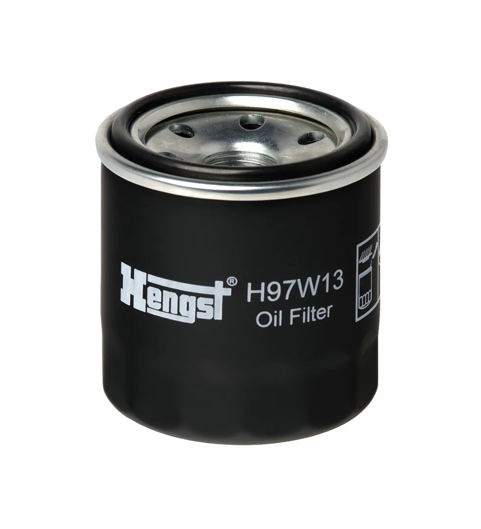 H97W13 Hengst