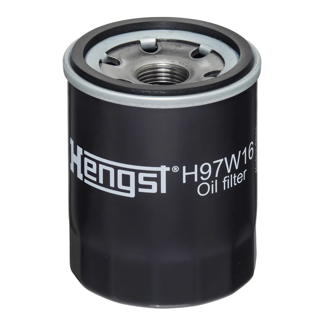 H97W16 Hengst
