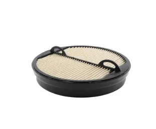 PA5418 SF Filter