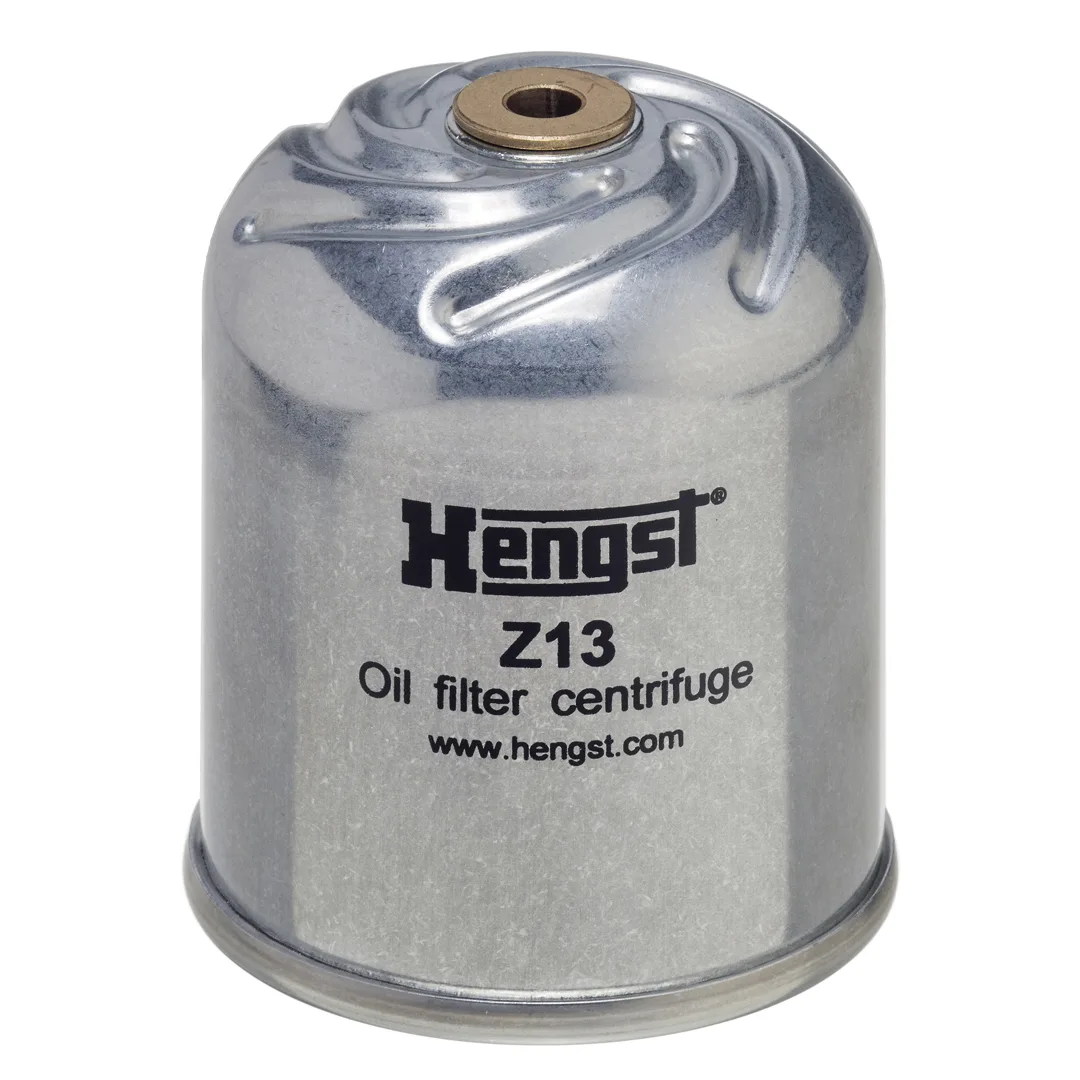 Z13D94 Hengst