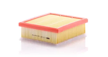 C21002
