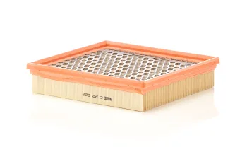 C22029
