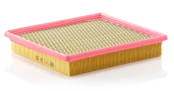 C24100