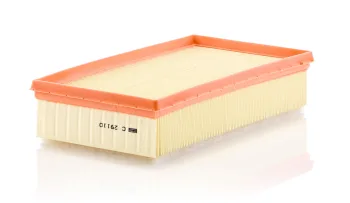 C29110