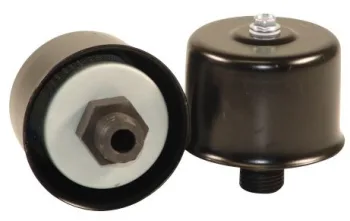 FS329